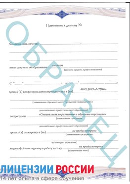 Образец приложение к диплому (страница 1) Оренбург Профессиональная переподготовка сотрудников 